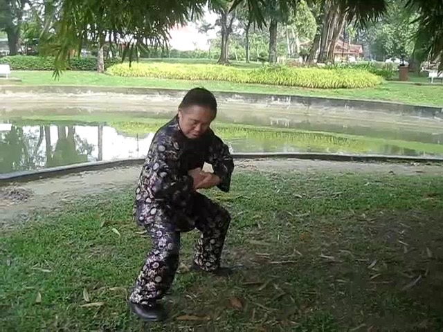 Shaolin 72 Chin-Na Techniques 2015